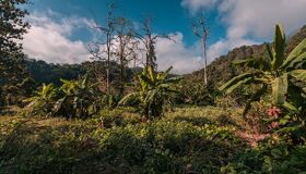 Countryside of Thailand